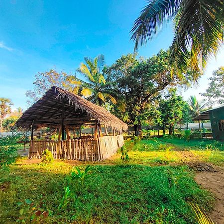 Wilpattu Green Cabin Achchamulai 外观 照片