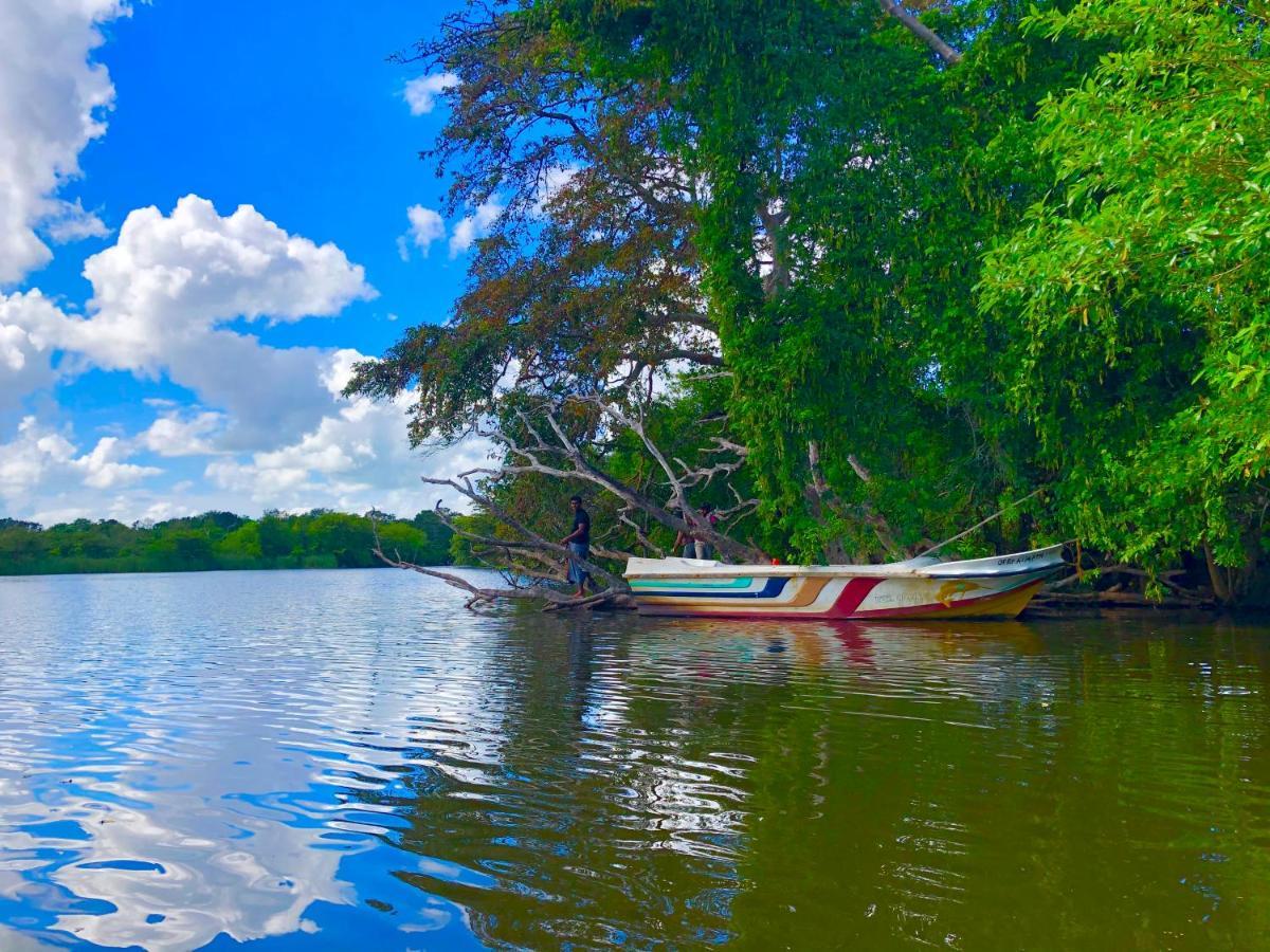 Wilpattu Green Cabin Achchamulai 外观 照片
