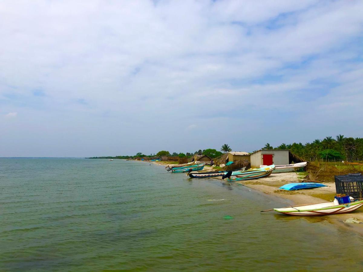 Wilpattu Green Cabin Achchamulai 外观 照片