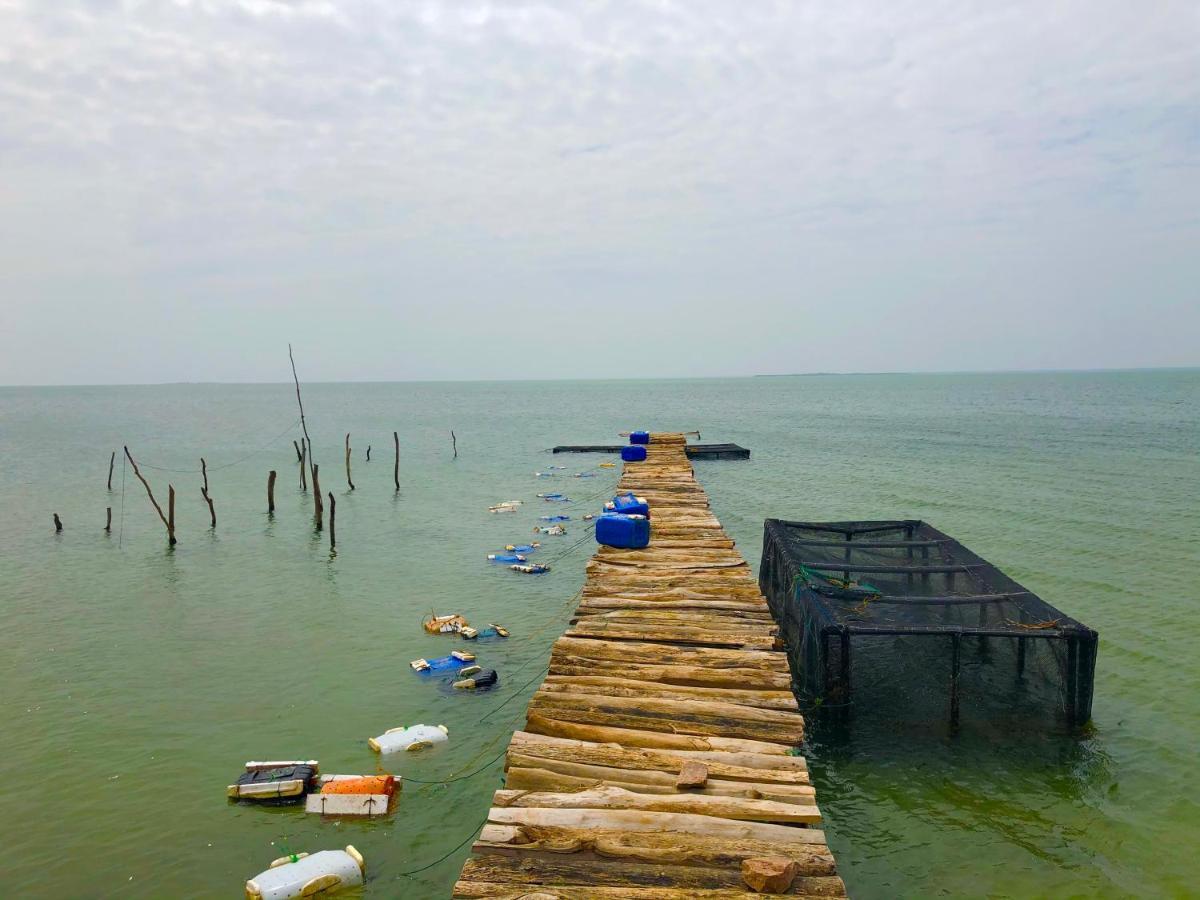 Wilpattu Green Cabin Achchamulai 外观 照片