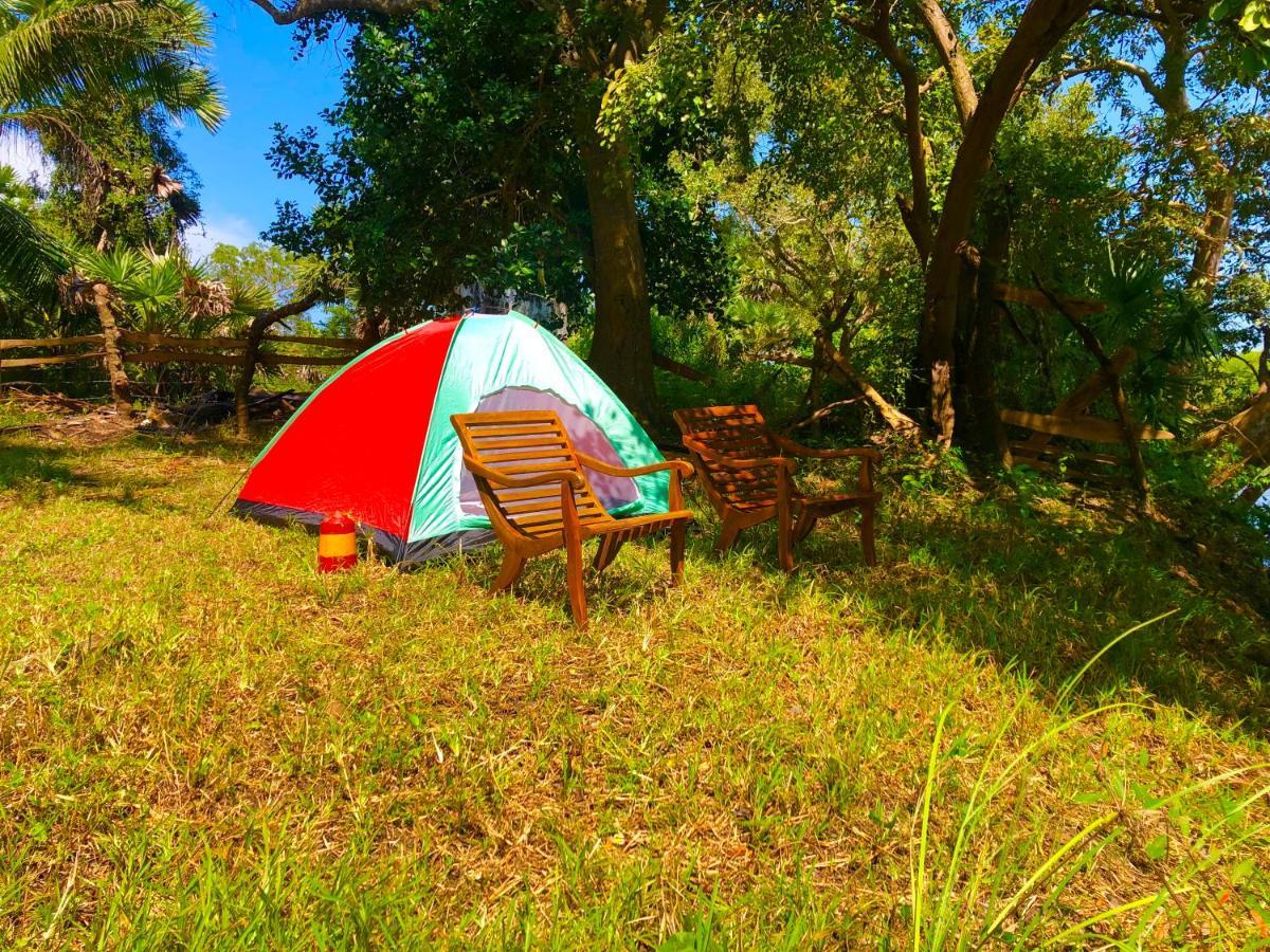 Wilpattu Green Cabin Achchamulai 外观 照片