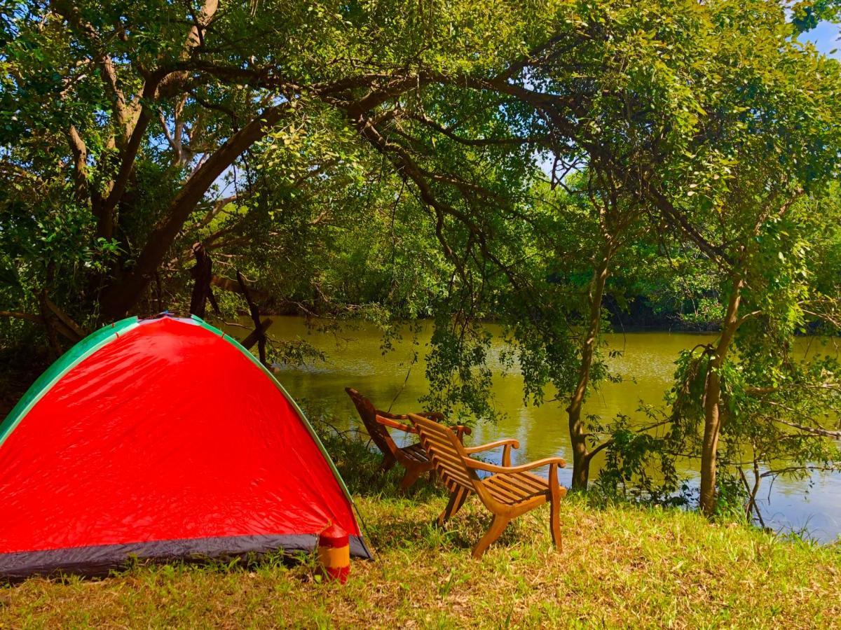 Wilpattu Green Cabin Achchamulai 外观 照片
