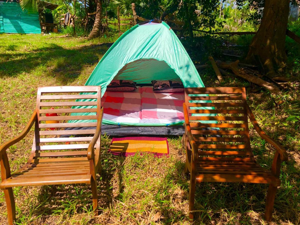 Wilpattu Green Cabin Achchamulai 外观 照片