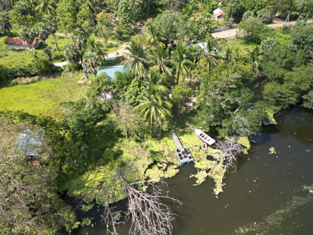 Wilpattu Green Cabin Achchamulai 外观 照片