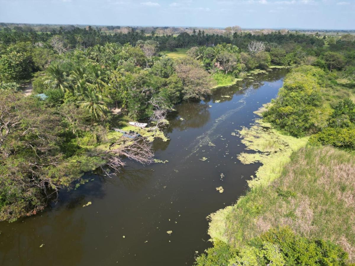 Wilpattu Green Cabin Achchamulai 外观 照片