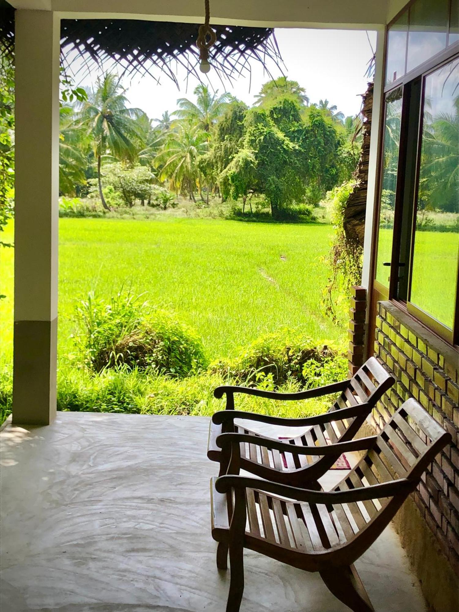 Wilpattu Green Cabin Achchamulai 外观 照片
