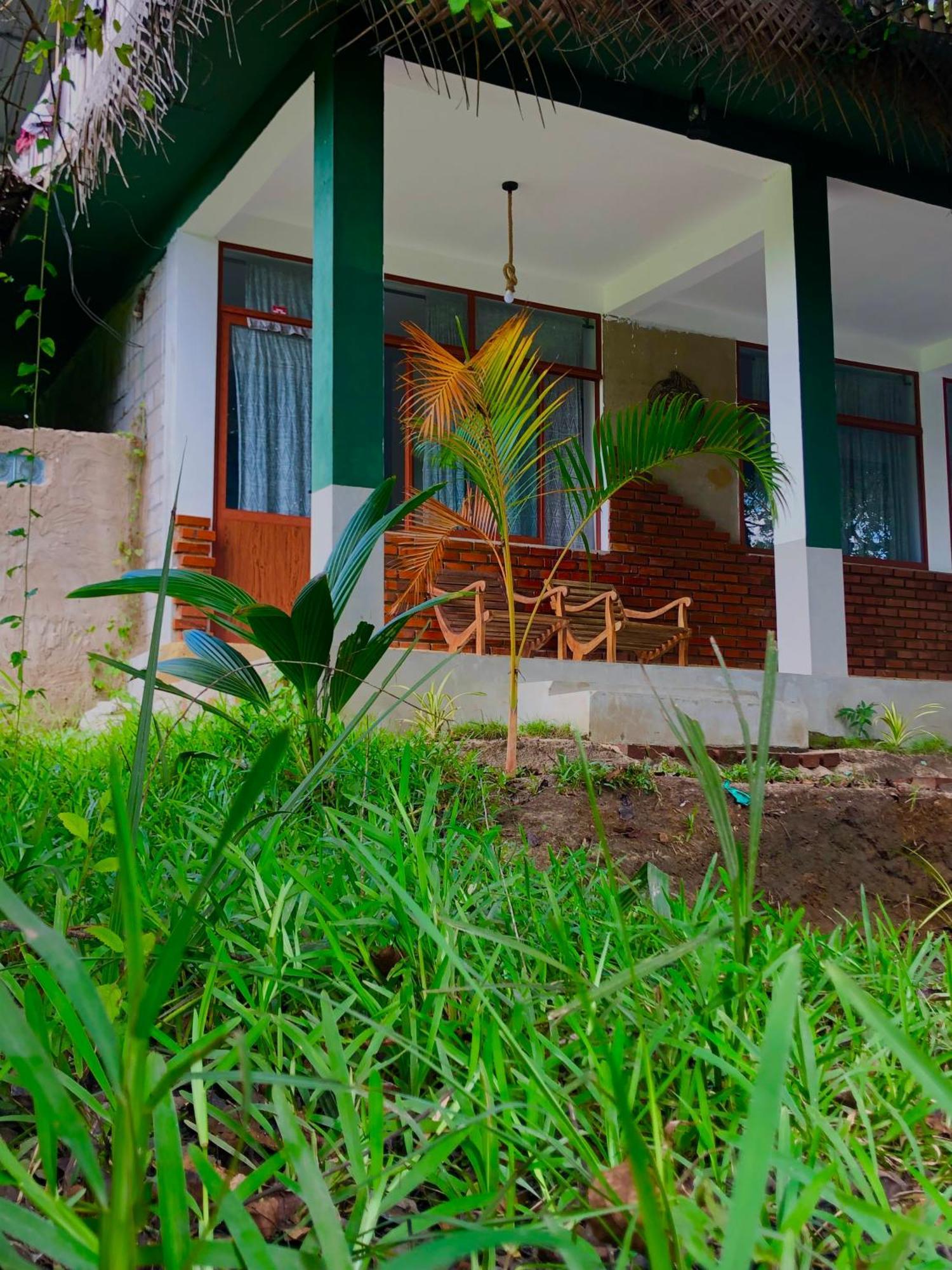 Wilpattu Green Cabin Achchamulai 外观 照片