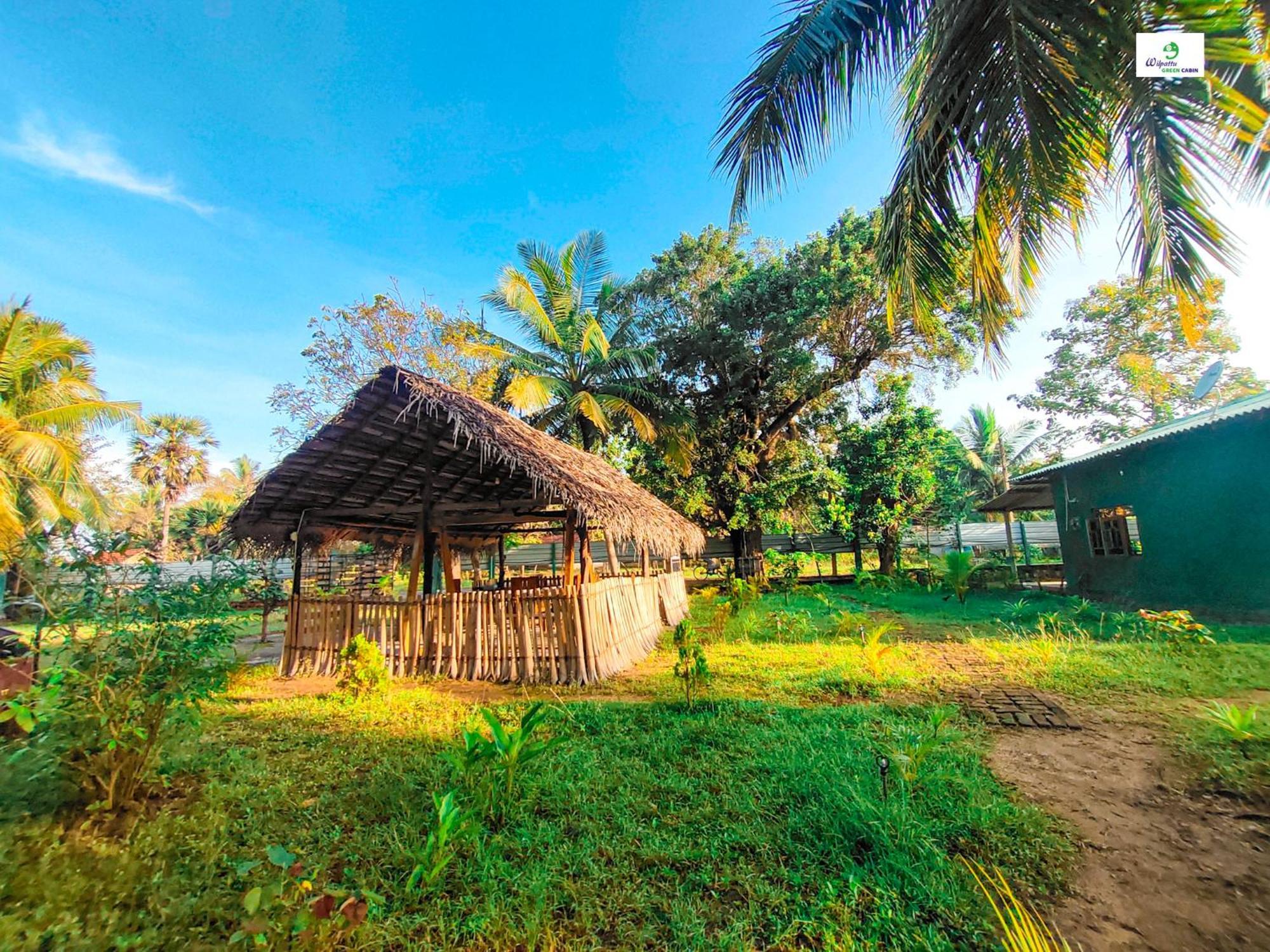 Wilpattu Green Cabin Achchamulai 外观 照片